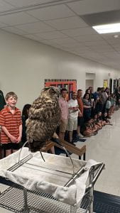 Albert the Owl on his perch after flying down the hallway.