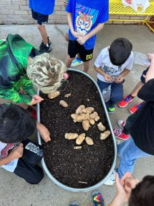 Picture of Mrs. Spalding's students planting seeds.