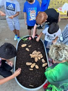 Picture of Mrs. Spalding's students planting seeds.